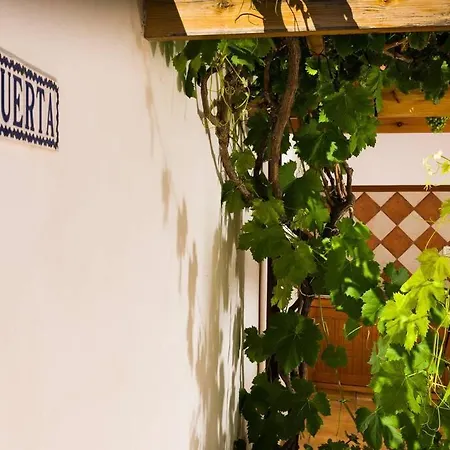 Beach House La Huerta